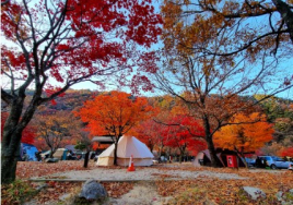 국립공원 야영장, 선착순 없앤다...5월부터 추첨제로 전환