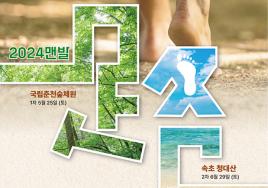 ‘맨발路 강원걷자’...강원도 '맨발걷기' 프로그램 마련